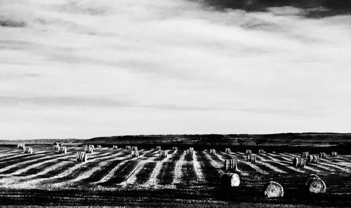 View of vineyard against cloudy sky