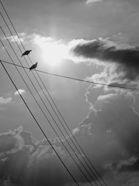 Low angle view of silhouette airplane against sky