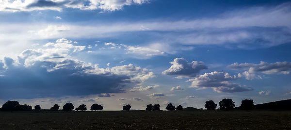 Silhouette trees on field against sky during sunset