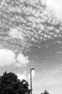 Low angle view of trees against sky