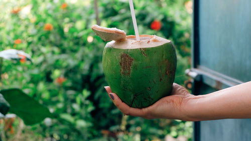 Close-up of hand holding drink