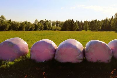 Panoramic shot of field against sky