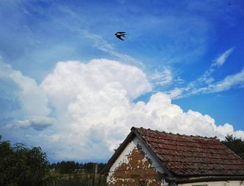 Low angle view of birds flying against sky