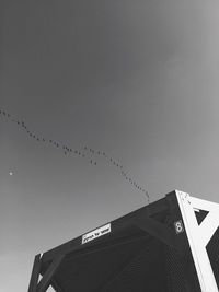 Low angle view of birds flying against clear sky