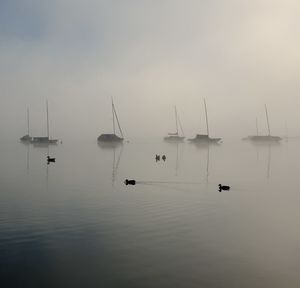 Scenic view of sea in a foggy day