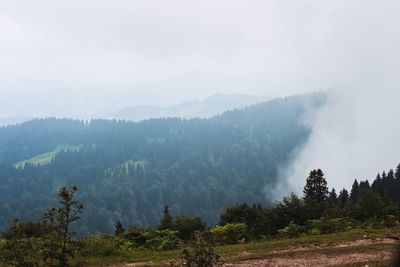 Scenic view of trees and mountains against sky