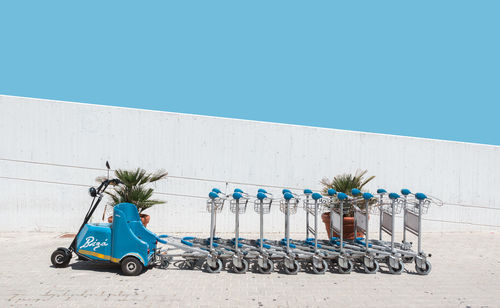 Plants against blue sky