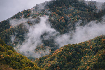 Scenic view of waterfall in forest against sky