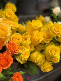 Close-up of yellow roses