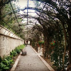 Walkway leading to building