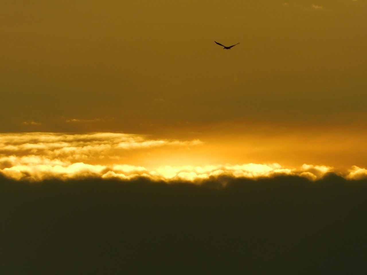 SCENIC VIEW OF SUNSET SKY