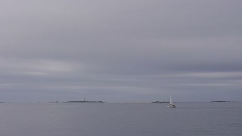 Sailboats sailing in sea against sky