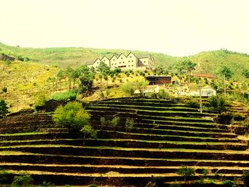 Scenic view of rural landscape