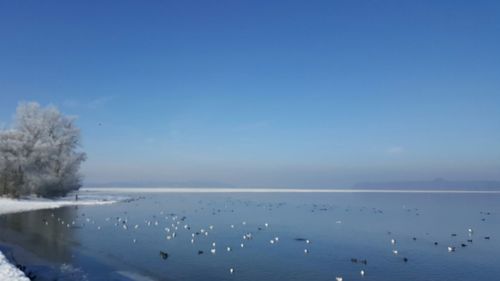 Scenic view of lake against blue sky