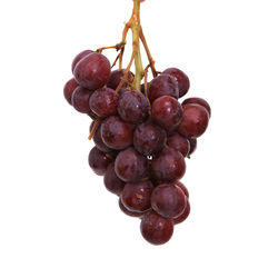 Close-up of grapes hanging on white background