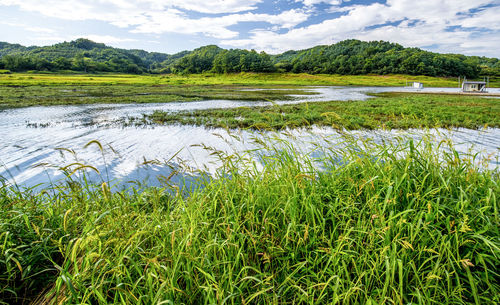 Scenic view of lake against sky