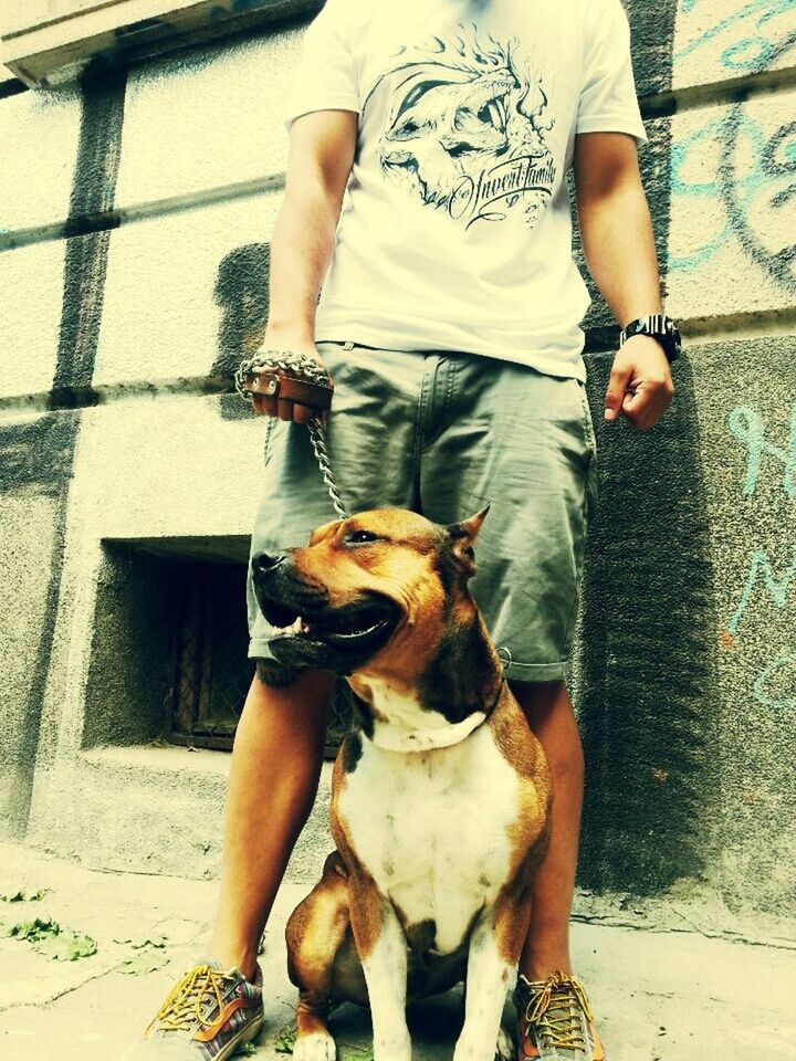 FULL LENGTH OF MAN HOLDING DOG STANDING AGAINST WALL AT NIGHT