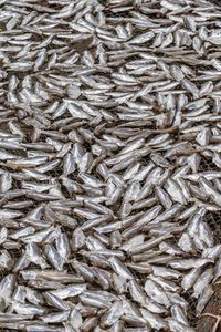 Full frame shot of fishing net