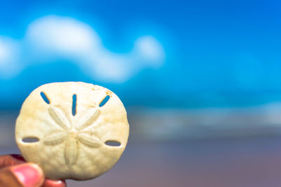 Close-up of hand holding umbrella against sea