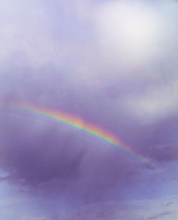 Low angle view of rainbow against sky