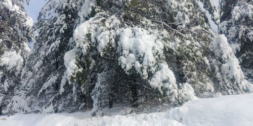 Panoramic shot of snow covered land