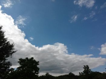 Low angle view of trees against cloudy sky