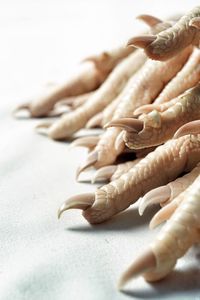 Close-up of meat on table against white background