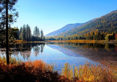 Scenic view of lake and trees against clear sky