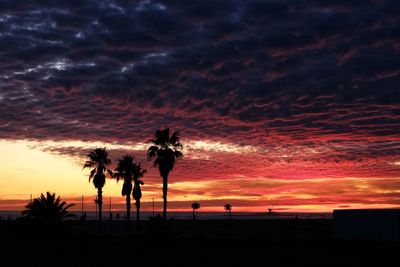 Silhouette palm trees on beach against sky during sunset