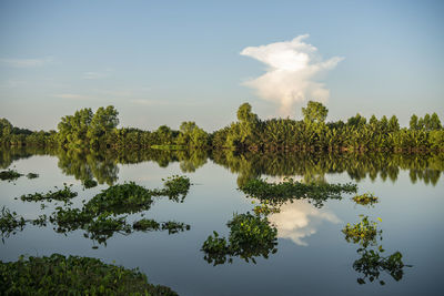 Scenic view of lake against sky