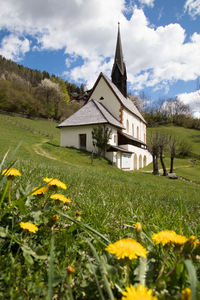 Yellow flowers on field by house against sky