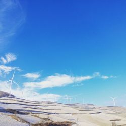 Scenic view of field against blue sky