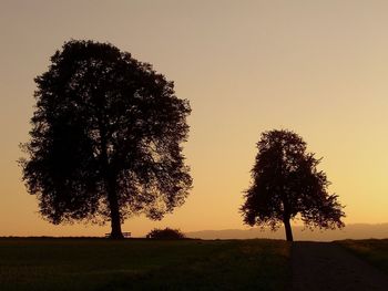 Silhouette tree against sky during sunset