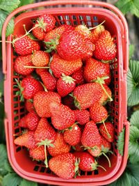 High angle view of strawberries in basket