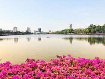 Scenic view of river by trees against sky