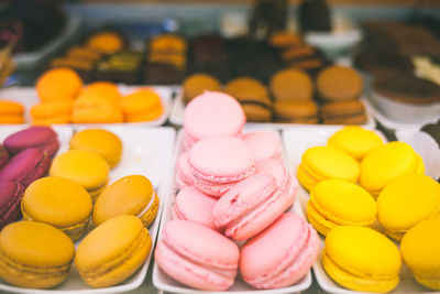 Close-up of colorful macaroon in container