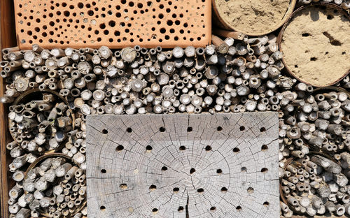 High angle view of shells on cobblestone