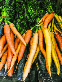 Close-up of vegetables