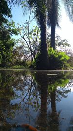 Scenic view of lake in forest against sky