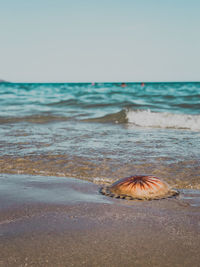Surface level of beach against sky