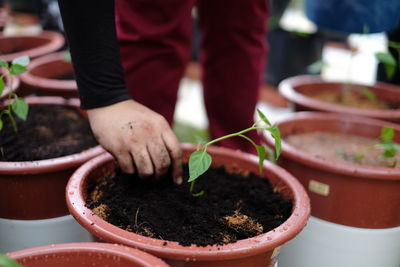 Low section of person on potted plant