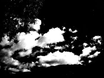 Low angle view of silhouette trees against sky