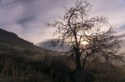 Scenic view of landscape against cloudy sky