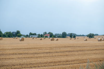 Hay bales on field against sky