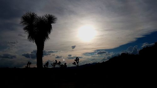 Low angle view of silhouette coconut palm trees against sky during sunset