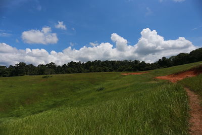 Scenic view of field against sky