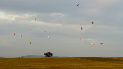 Hot air balloons flying over field against sky