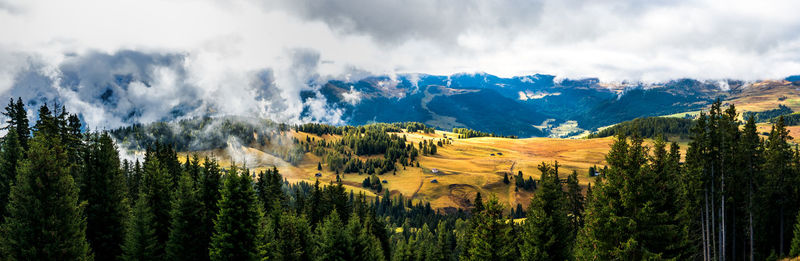 Panoramic view of trees in forest against sky