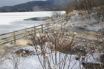 Frozen river by trees during winter