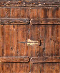 Closed wooden door of old building